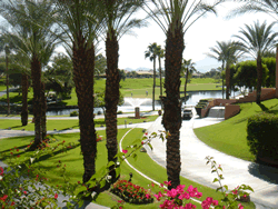 Westin Resort Palm Desert