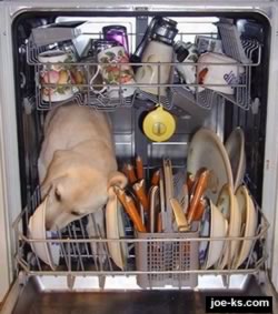 broken dishwasher