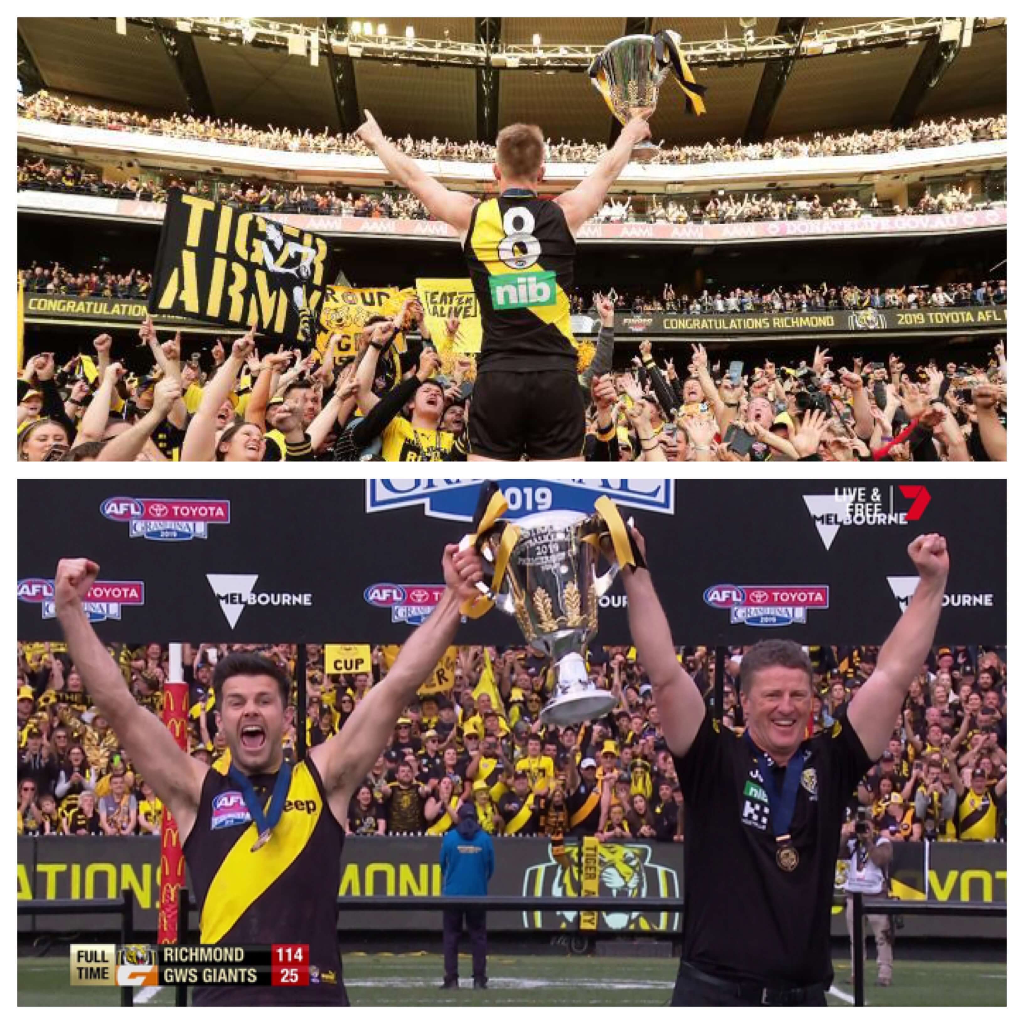 Richmond Tigers AFL Grand Final 2019