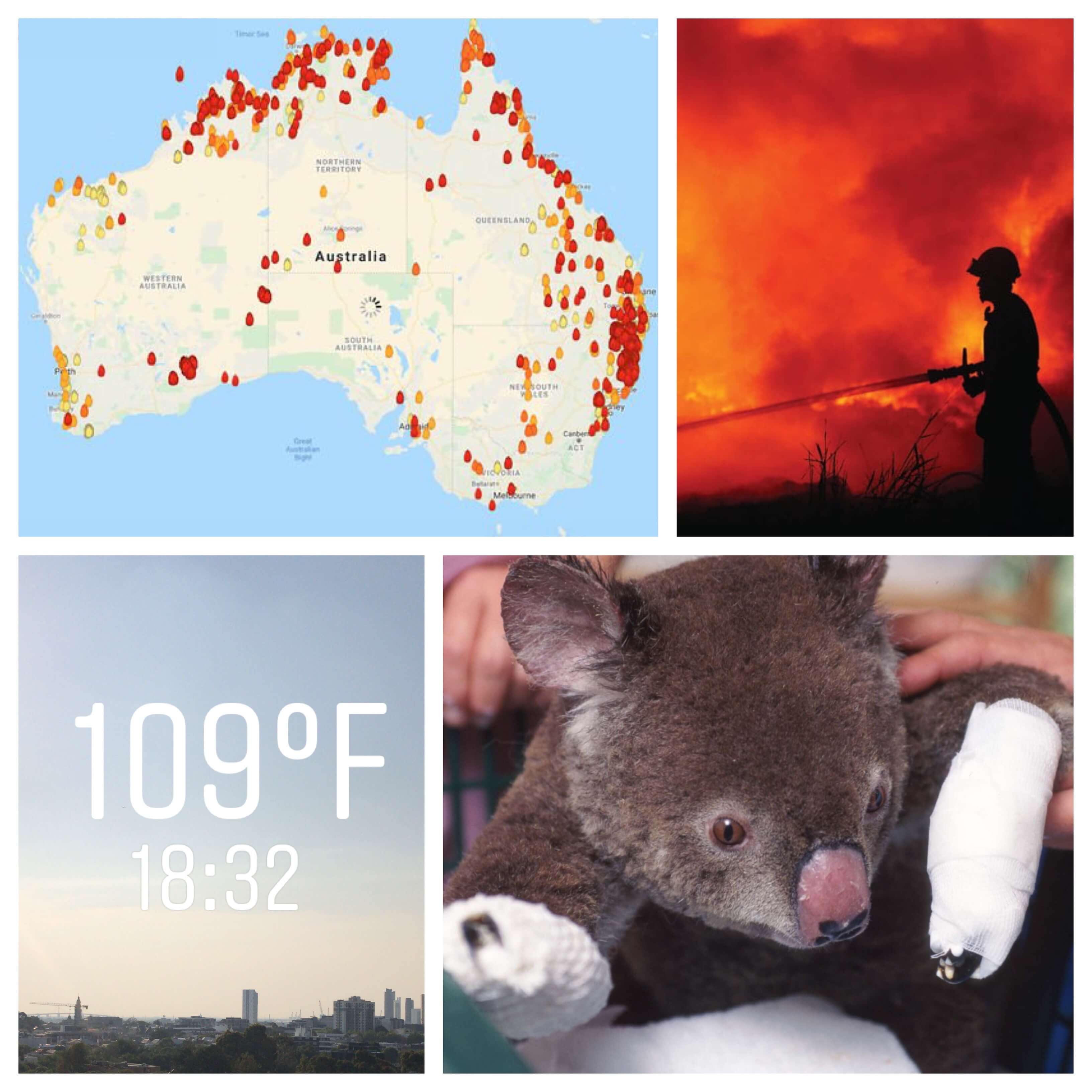 Australia is Burning