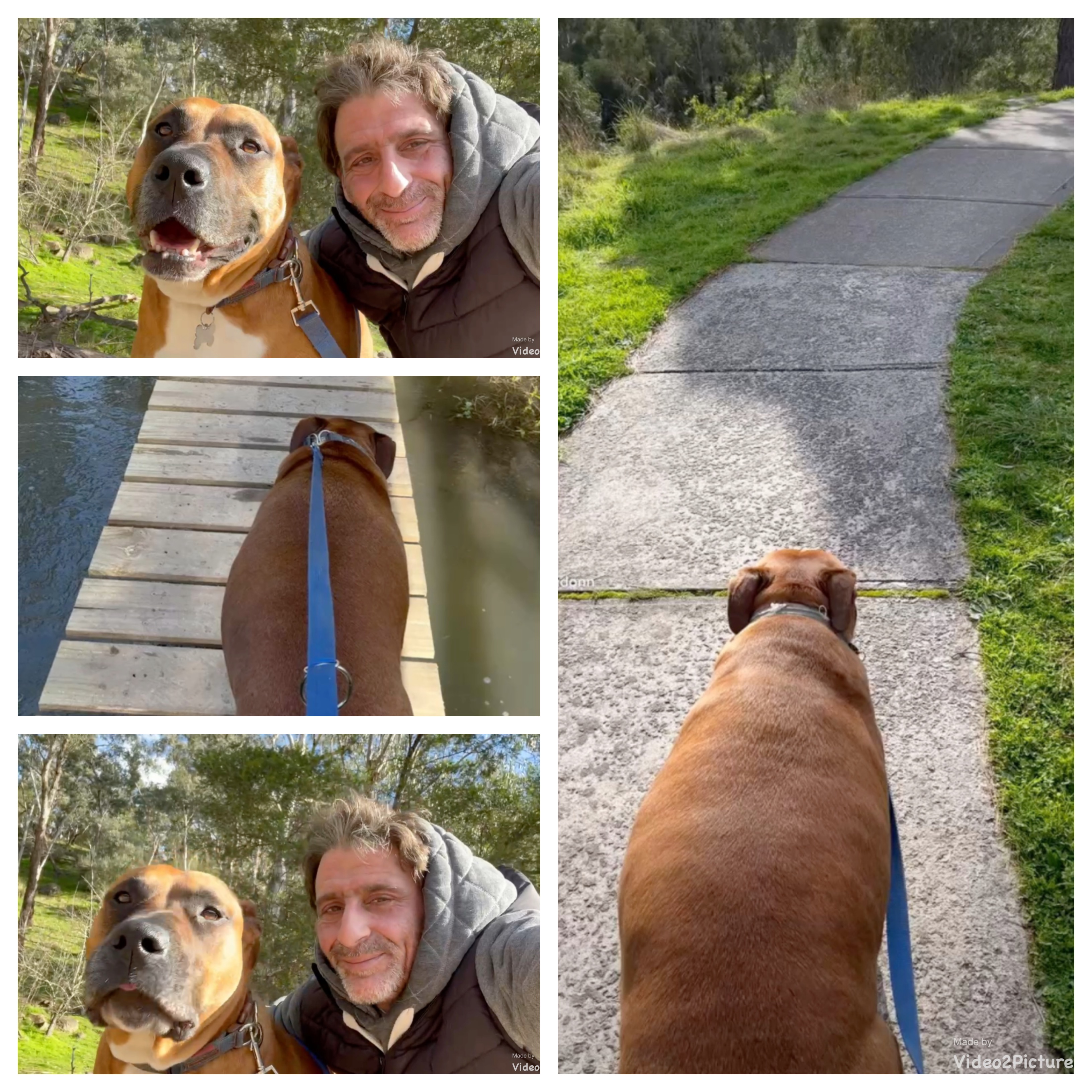 Last walk with Chase