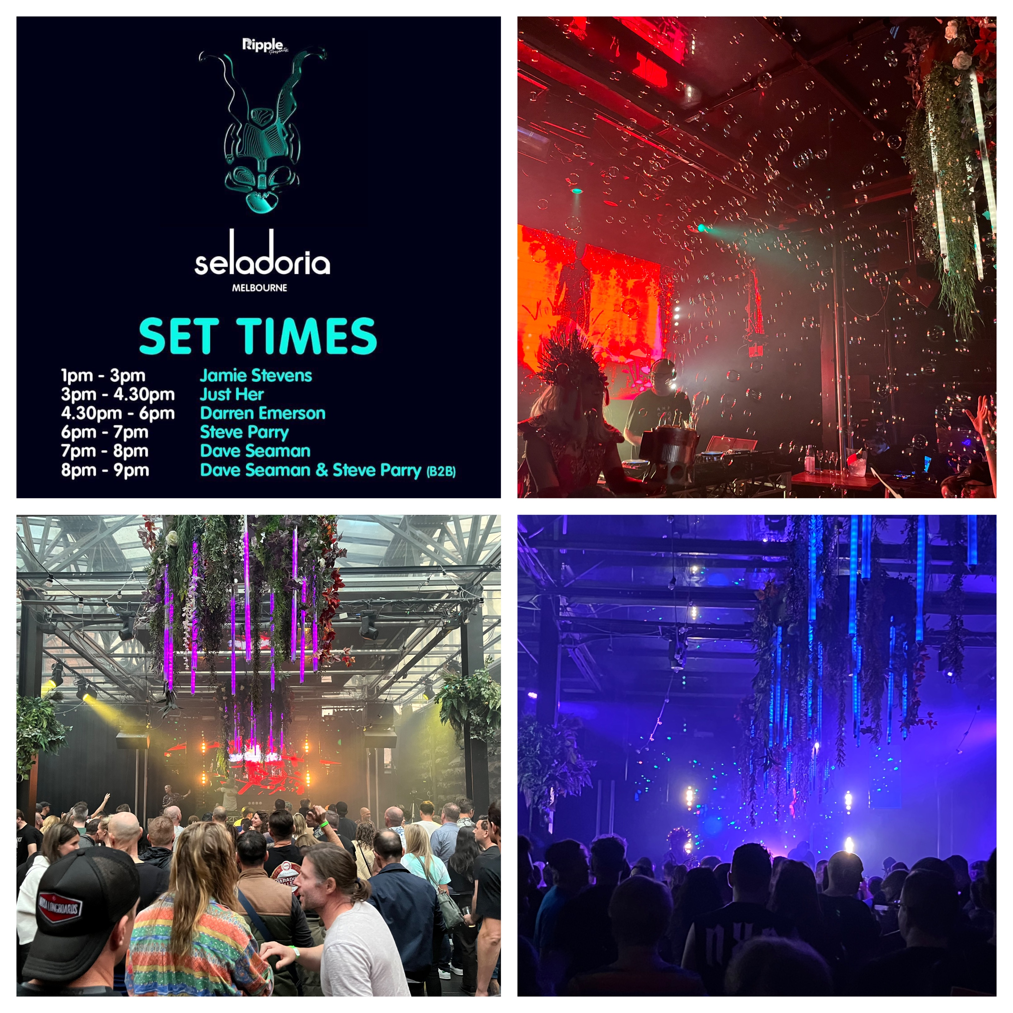 Seladoria with Dave Seaman