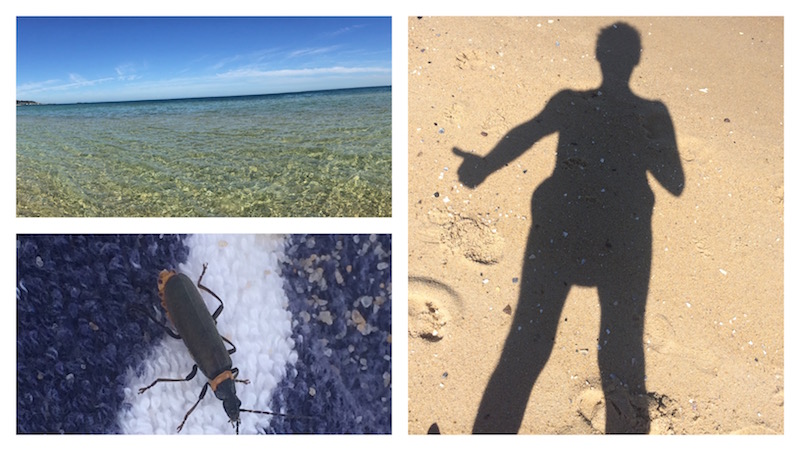 Beach Day