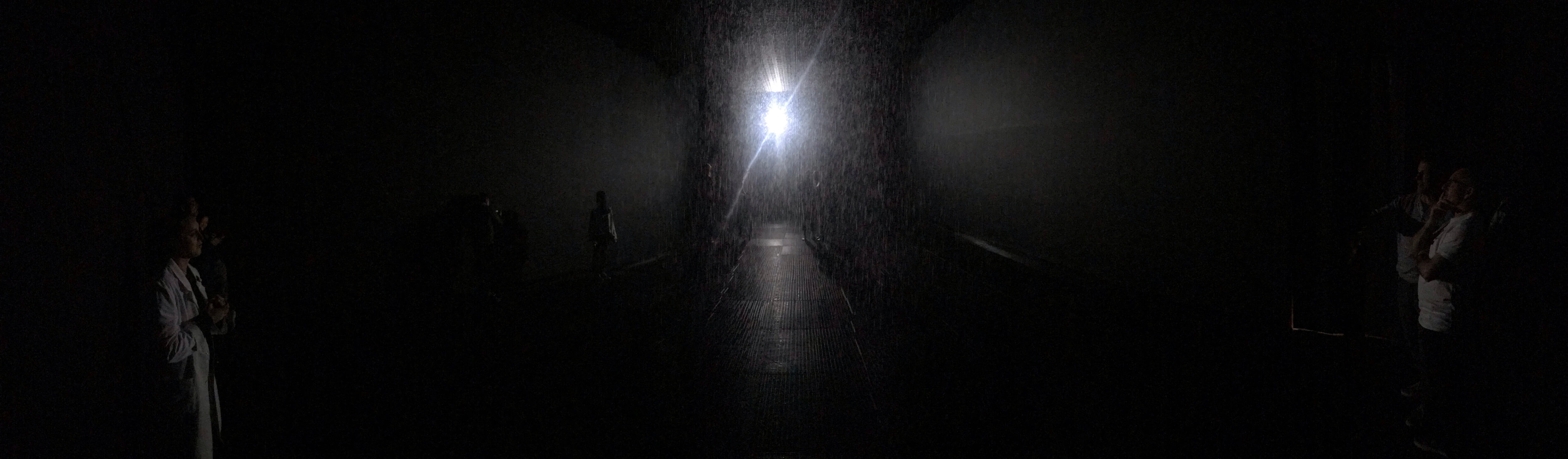 Rain Room