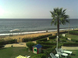 My View from Coral Beach
