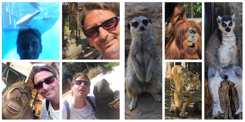 Melbourne Zoo