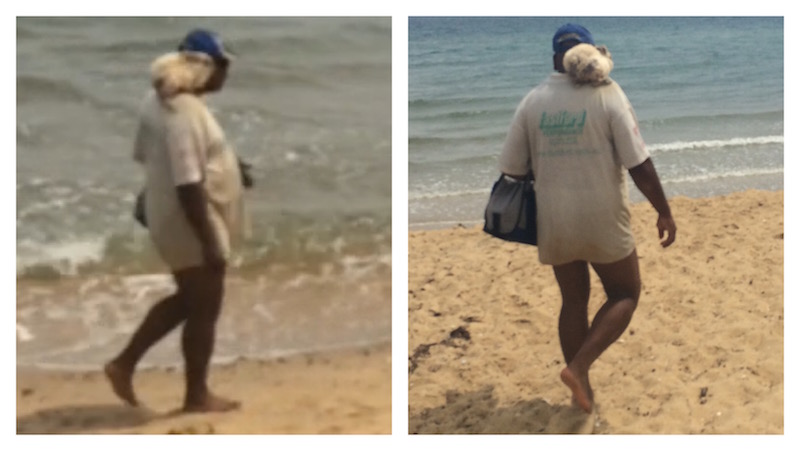 Beach Rabbit